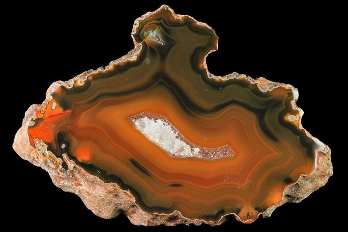 Colorful, Polished Condor Agate Section - Argentina #145527